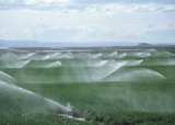 Pumps for the Farming Sector from Consolidated Pumps Ltd