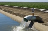 Farming from Consolidated Pumps Ltd